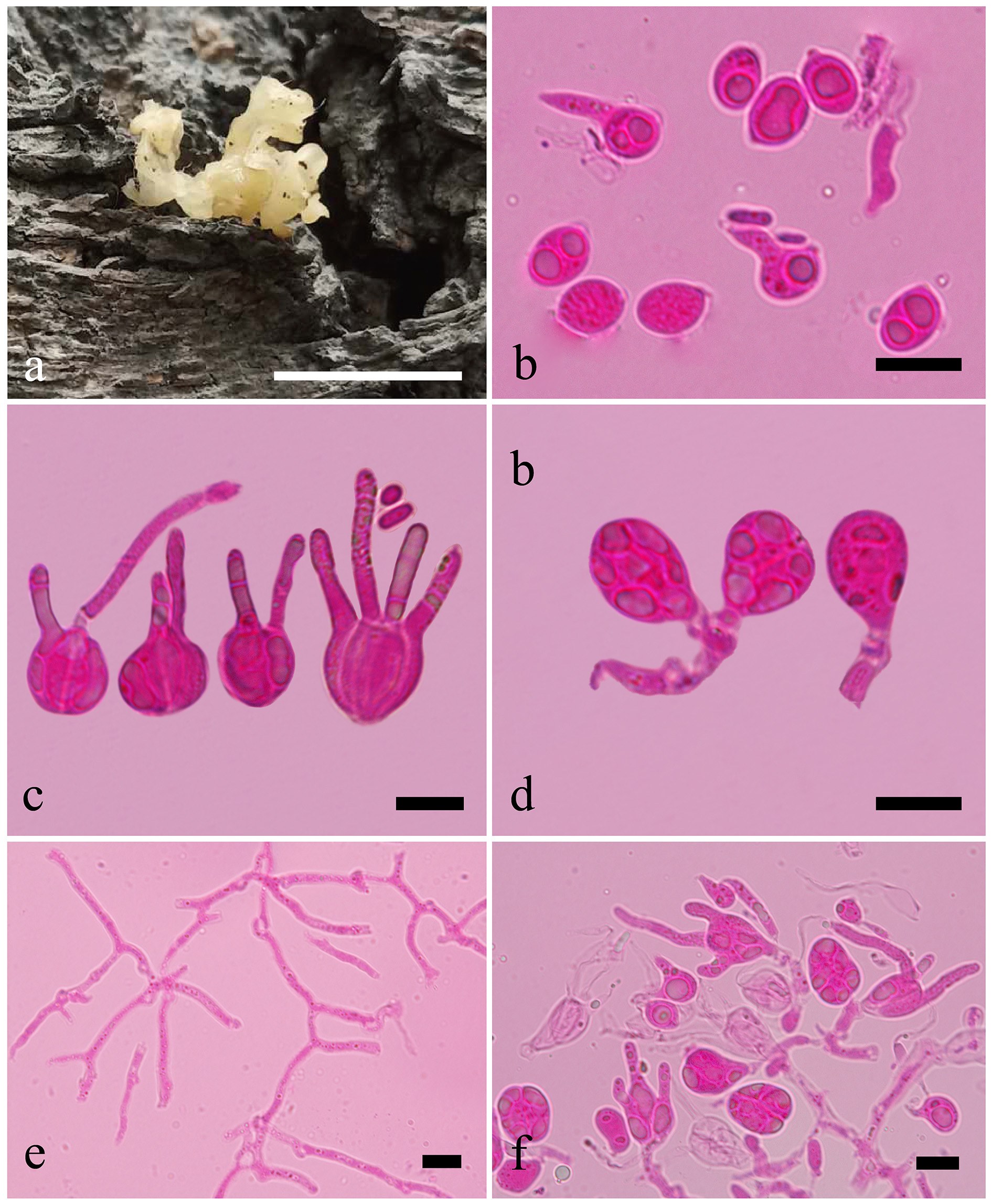 Figure 94